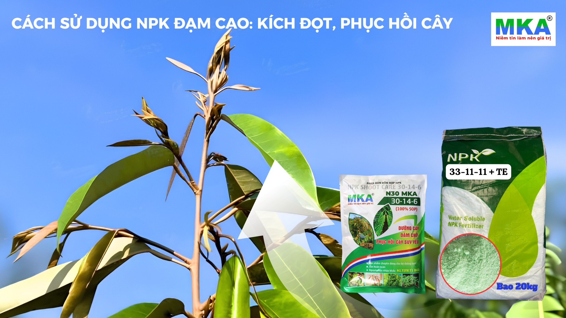 Cách sử dụng NPK Đạm cao trong mùa nắng